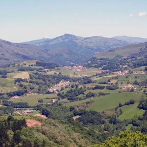 rutas50